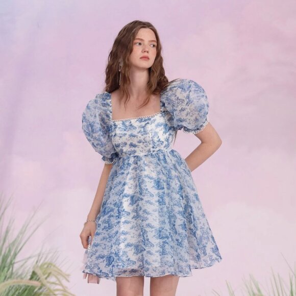 SHEIN Dresses & Skirts - SHEIN MOD Landscape Print Puff Sleeve Organza Dress Selkie Style